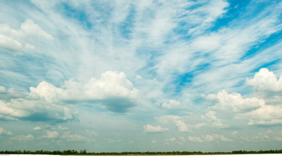 Calidad, Sabor y Compromiso con el Medio Ambiente: Pimentón La Esencia de la Vera